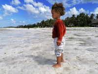 /album/fotogaleria-zanzibar-zajazd-vy-a-my1/zanzibar-zajazd-dovolenka-32-jpg1/